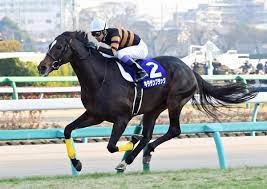 567>新種牡馬キタサンブラック産駒・ラスール 夏デビューへ順調 | 競馬ニュース・特集なら東スポ競馬