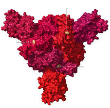 Some variants, such as those found in south africa and brazil. Coronavirus Variants Latest News And Updates The New York Times
