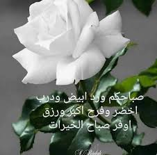 pin by manal on صباح الخير good morning roses good morning arabic good morning greetings