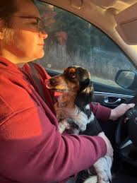 Still missing 😢 we just want our boy home.