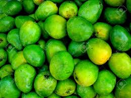 This is what we call an indian mango, usually during summer time mangoes are abundant in the philippines because it's a season of mangoes and its tree usually bear fruits at its peak during this. Green Indian Mango Stock Photo Picture And Royalty Free Image Image 28725389