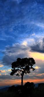 Xiaomi Redmi Note 7 Stock Wallpapers Da Firmware Papeis De Parede