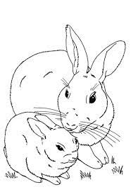 Rabbit To Color For Children Rabbit Kids Coloring Pages Bunny Coloring Pages Coloring Pages For Boys Coloring Pages