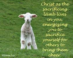 References to sheep are found throughout the bible. Christ As The Sacrificing Lamb Lives In You Energizing You To Sacrifice Yourself For Others Witness Lee Quote Christian Pictures Blog