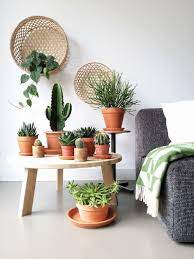 blogger lisannevdklift verzamelde al haar planten op haar woood rhonda tafel hoe leuk groen hout thuisdecoratie interieur diy groen interieur