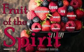 Pin On Quotes Bible