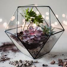 Make your home & garden unique! Geometric Stained Glass Terrarium Indoor Garden Planter Succulent Plant Pot Minimalist Home Decor Wedding Centerpiece Home Hobby Craft Supplies Tools Kromasol Com