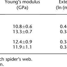 How to control & remove black widow spiders. A Cobweb Constructed By The Western Black Widow Consists Of Four Download Scientific Diagram