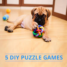 We did not find results for: 5 Diy Dog Puzzle Games Skinny Ms Diy Dog Toys Puzzles Dog Puzzles Diy Dog Toys
