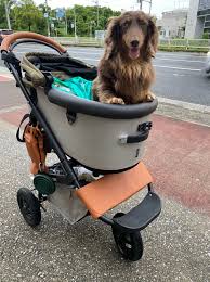 愛犬ルイのバギーを少しのアイデア、改造でルイちゃ快適❗️ | パウダージャンキーのブログ