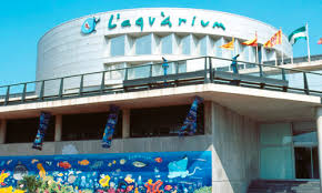 Aquàrium Barcelona | Blog de noticias | Cepex Grupo Fluidra