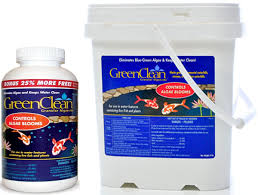 We did not find results for: Greenclean Granular Algaecide Algae Cleaner For Ponds And Waterfalls