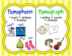 Homographs And Homophones Worksheets Teaching Resources Tpt
