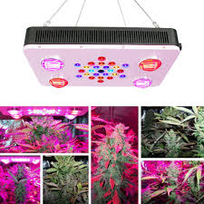 2,073 5 watt chip led grow light products are offered for sale by suppliers on alibaba.com, of which grow lights accounts for 20%, led grow lights accounts for 2%. Horticultural Vertical Farm Led Grow Light Module 5w Dual Chip 100w Cob Plant Clone Grow Light Brightsun Led Limited Ecplaza Net
