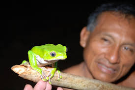 Mongabay Interviews Dr. David Fleck About The Matsés And Acaté