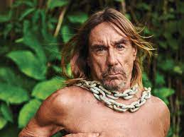 Iggy pop still wants to be somebody. The Survival Of Iggy Pop The New Yorker