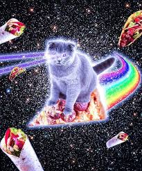 Laser Eyes Space Cat Riding Rainbow Pizza By Skylerjhill Space Cat Galaxy Cat Rainbow Pizza
