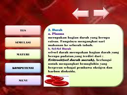 Kehadiran jumlah abnormal protein dalam urin menunjukkan, bahwa, ada sesuatu yang salah dengan ginjal. Sistem Peredaran Darah Pada Manusia Ppt Download