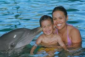 Check spelling or type a new query. Blue Lagoon Island Dolphin Encounter From Nassau 2021
