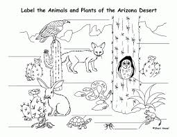Simply drag the images below to your desktop, and print! Desert Animals Coloring Pages Coloring Home