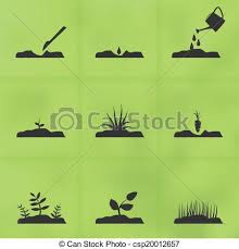 Seed Germination Icon Google Search Seed Germination Home Decor Decals Decor