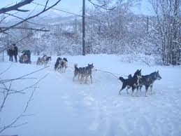 Novogodnij Super Tur Vstrecha Novogo 2021 Goda Na Kamchatke Turisticheskaya Kompaniya Briz