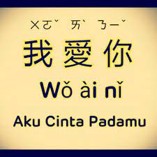 Selain menggunakan bahasa indonesia atau bahasa inggris, pernahkan kamu mencoba mengutarakan perasaanmu dengan menggunakan bahasa daerah? Bahasa Cina Aku Cinta Kamu Cara Golden