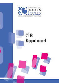 Https Www Cge Asso Fr Wp Content Uploads 2017 06 2018 Cge Rapport D Activite Pdf