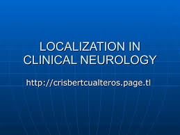 Image result for Neurologic Lesion Localization