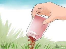 Certain murder mittens like to kill birds which help pollinate gardens and keep local ecosystems going strong. 3 Ways To Prevent Cats From Pooping In The Garden Wikihow