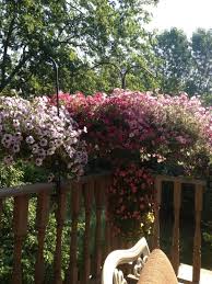 Mark Khayat (@livinlive)