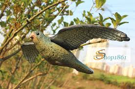 Résultat de recherche d'images pour "bird scarer from china"