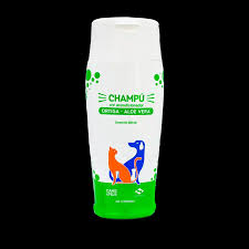 Image result for Aloe canis