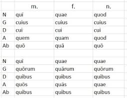 adjectives and pronouns flashcards quizlet