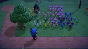 We did not find results for: Flower Guide Hybrid Flowers Flower Crossbreeding List Animal Crossing New Horizons Wiki Guide Ign