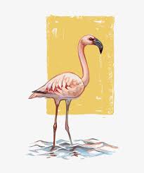 ناقلات فلامنجو Flamingo Art Flamingo Art