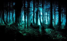 Check spelling or type a new query. Padurea Bantuita Hoia Baciu Destinatii Info