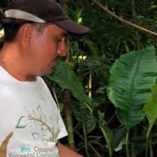 Case History: Walter Méndez Barrios