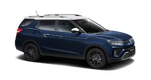 Image result for Dandy Gray 1993 SsangYong