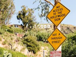 Image result for Federal Yellow 1989 US Paint