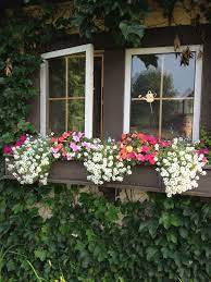 We did not find results for: Pin By Mavianca On Gardening And Gardens Window Box Flowers Wonderful Flowers Window Boxes