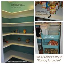 Pop Of Color In Pantry Paint The Inside Of Closets Bright Colors In A Neutral Room Perfect Spot For C Mobile Home Makeovers Painted Closet Cookbook Storage