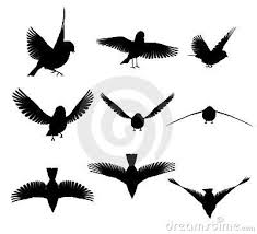 Bird In Flight Silhouette Bird Silhouette Bird Silhouette Flying Bird Silhouette Silhouette Art