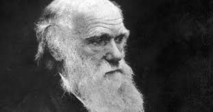 His father, a doctor, had high hopes that his son would earn a medical degree at edinburgh university in scotland, where he enrolled at the age of sixteen. Cambridge University Says Darwin S Iconic Notebooks Missing For Years Were Stolen