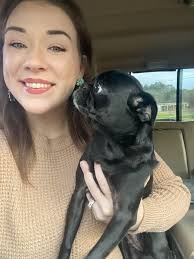 What are some tips for caring for a pug or pug mix?