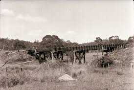 Ron Preston Collection