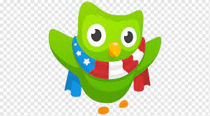 1280 x 720 jpeg 31kb. Learning Duolingo Scottish Gaelic Language La Souterraine English Library Spanish Vertebrate Owl Png Pngwing
