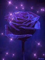 See more ideas about aesthetic gif, aesthetic anime, gif. Purple Rose Gif Gifs Tenor