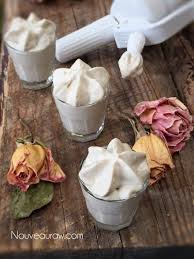 Cashew Whipped Cream Using Isi Canister Raw Food Recipes Healthy Dessert Recipes Recipes With Whipping Cream