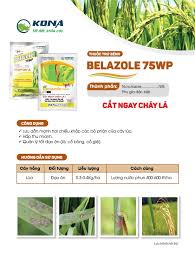 Belazole 75WP